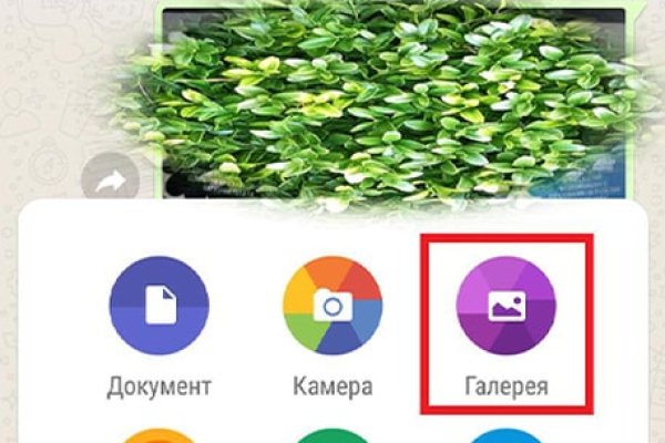 Платформа блэк спрут