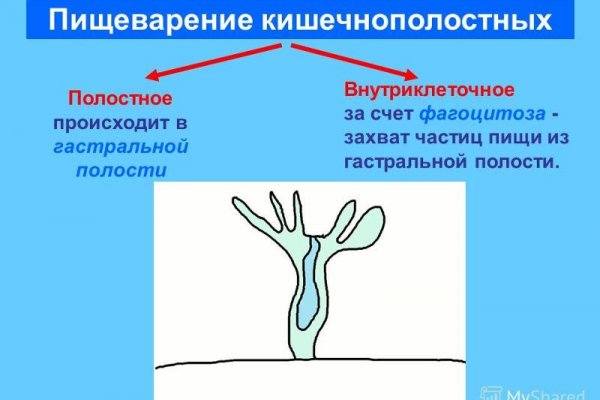 Блэк спрут работает