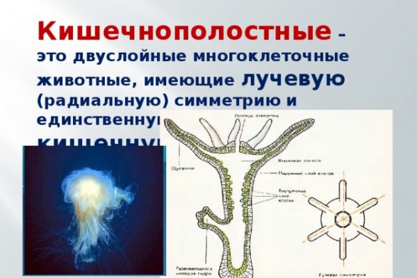 Как зарегистрировать аккаунт на блэк спруте